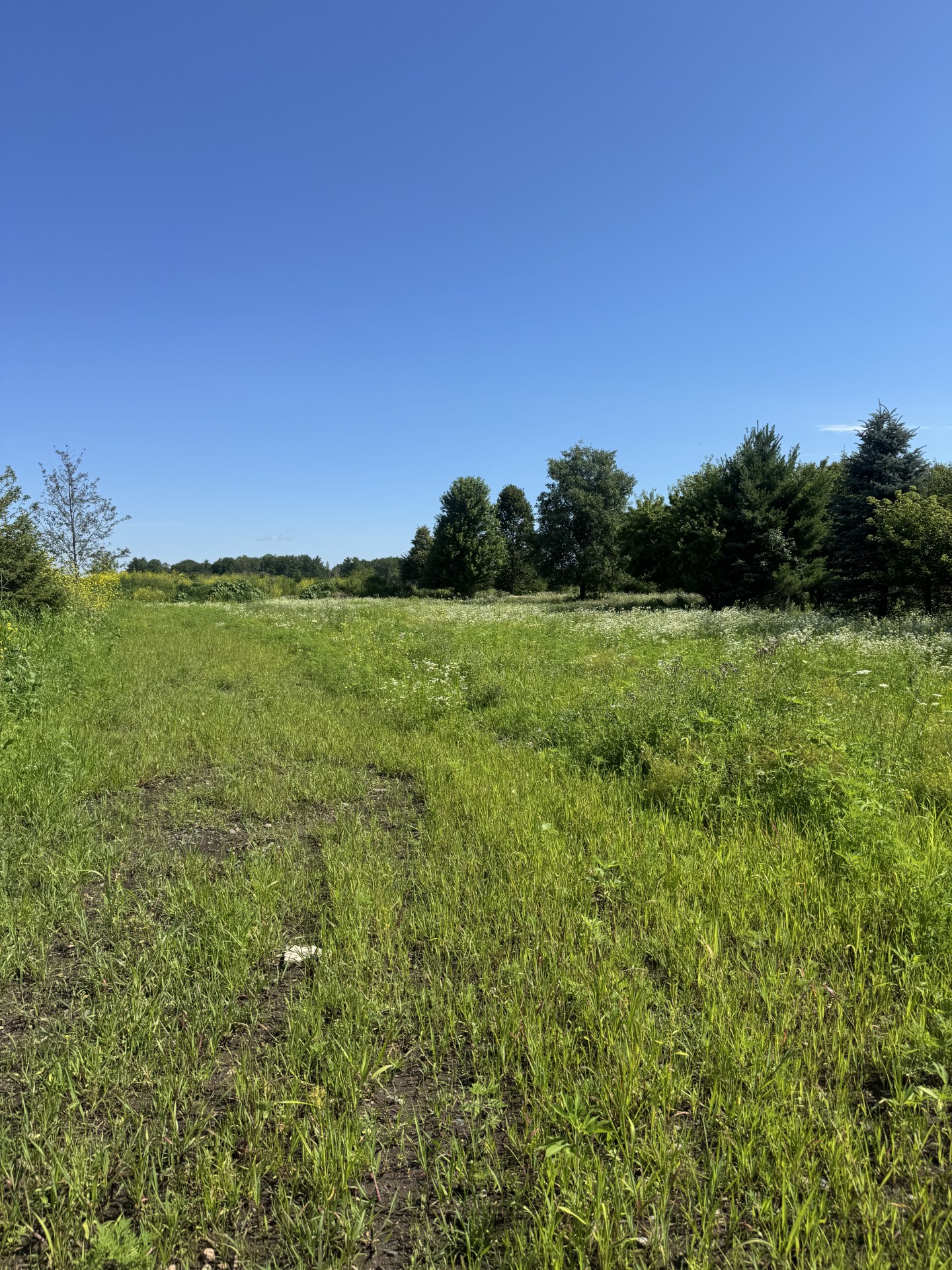 Mogren Farms Parcel A 23.63 Acres